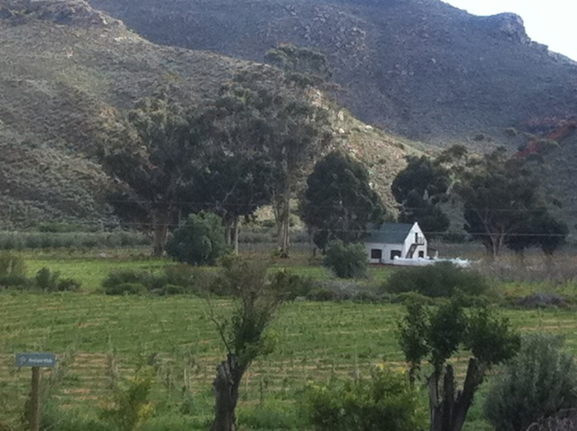 Kredouw Olive Estate ~ Prince Albert Valley ~ Western Cape ~ South Africa